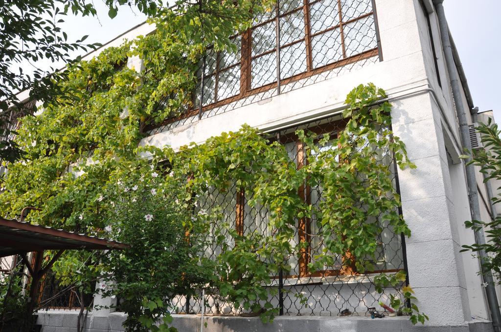 Villa Ivana Odessa Extérieur photo